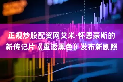 正规炒股配资网艾米·怀恩豪斯的新传记片《重返黑色》发布新剧照