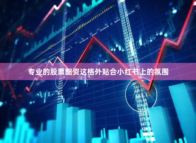专业的股票配资这格外贴合小红书上的氛围
