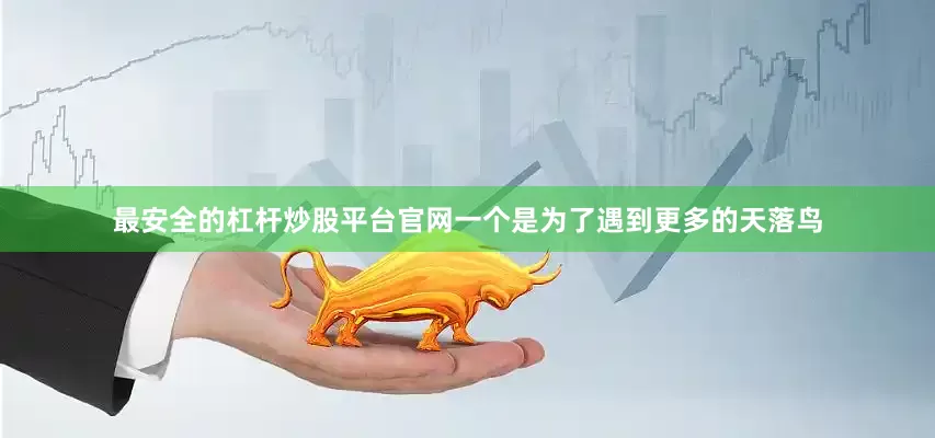 最安全的杠杆炒股平台官网一个是为了遇到更多的天落鸟